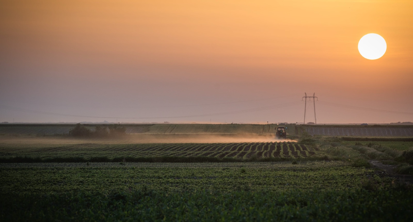 A tractor working a field at dusk